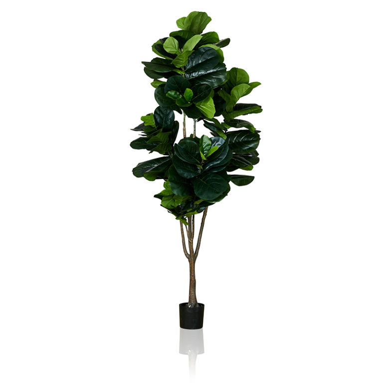 "Fiddle" Artificial Tree - Extra Large for Sale Perth - Trilogy Furniture